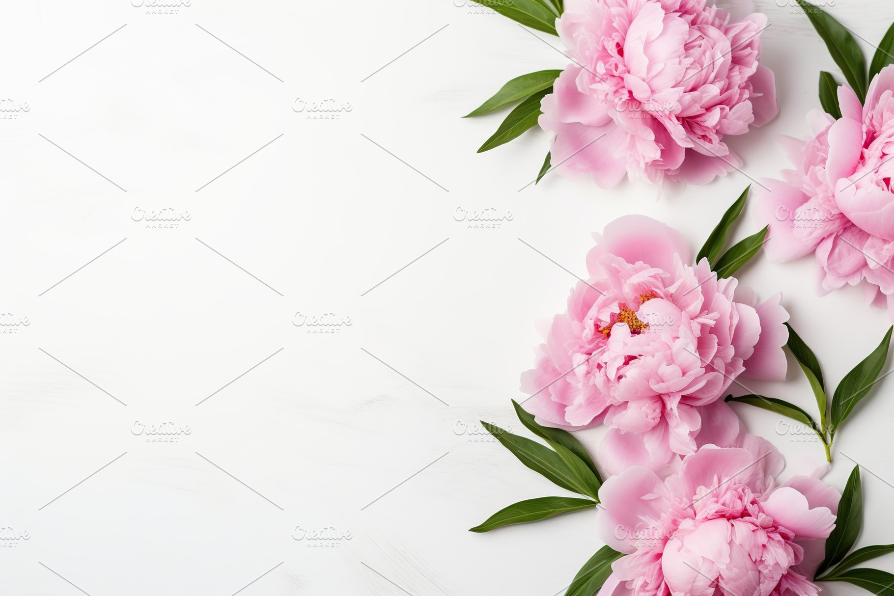 Flat lay of pink peony flowers with copyspace on white background, a Nature Photo by AlyaAnd