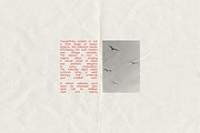 Vintage Paper Textures 1, a Texture Graphic by Aesthetic Eye (Thumbnail 14 of 21)