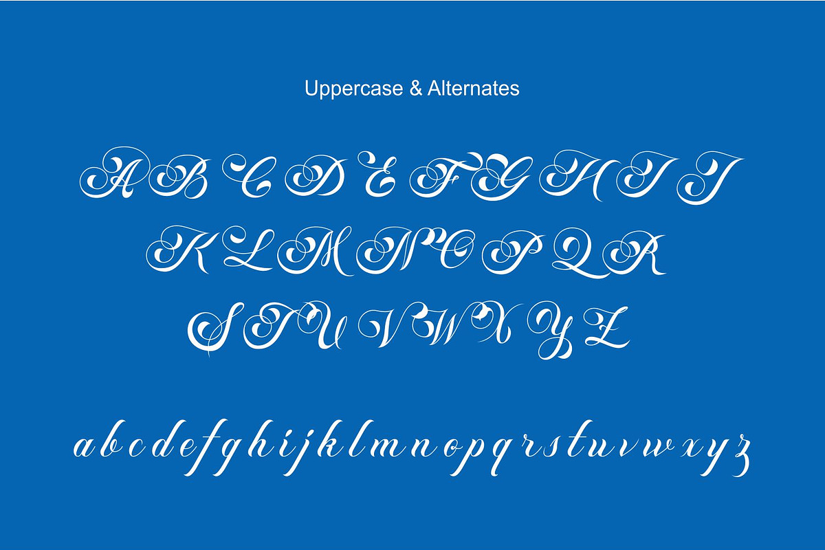 Athletic Sleek Round Sporty Baseball, a Script Font by WhymoreArt (Photo 10 of 10)