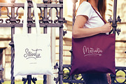 Bellinda Script (20% Discount), a Script Font by Thirtypath Studio (Thumbnail 4 of 8)