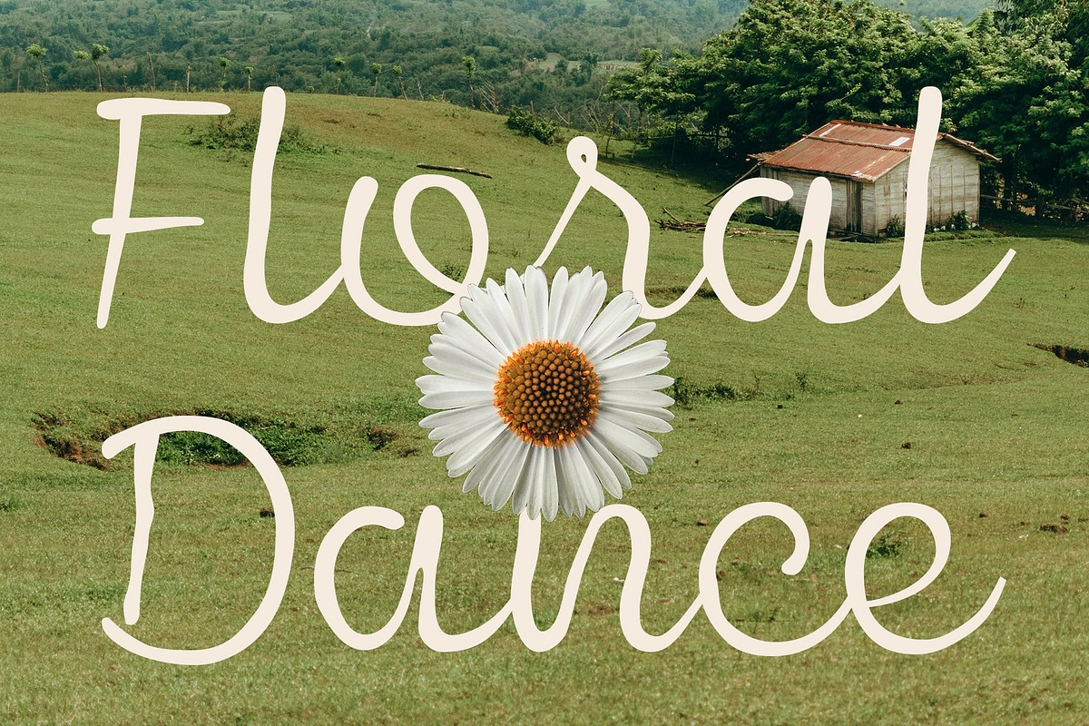 CS Bowie – Script Font, a Script Font by Craft Supply Co. (Photo 4 of 8)