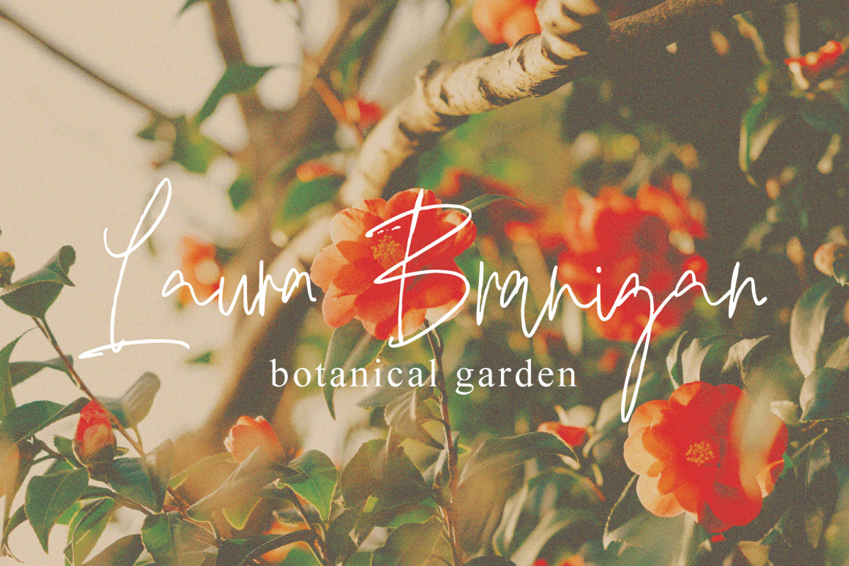 Falsoky - Handwritten Signature, a Handwritten Font by tebaltipislab (Photo 2 of 9)