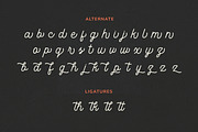 Rotterhead Monoline Vintage Font, a Script Font by Seagulls Creative (Thumbnail 8 of 8)