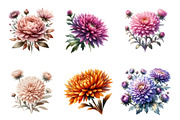 Aster Flower Watercolor Clipart, an Illustration by SinaCreation (Thumbnail 2 of 5)