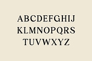 Retrodict Modern Serif Retro Font, a Serif Font by UICreative (Thumbnail 2 of 13)