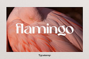 Eugusto Display Typeface, a Sans Serif Font by Typetemp Studio (Thumbnail 22 of 26)