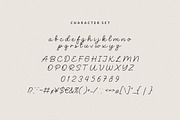 Beauty Story Font, a Handwritten Font by Burhan Afif (Thumbnail 8 of 9)