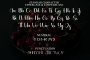 Seasalt, a Handwritten Font by FreshTypeINK (Thumbnail 3 of 8)