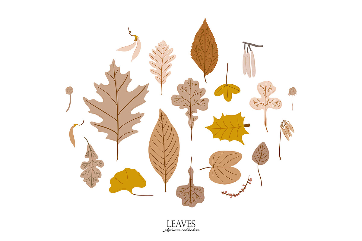 Seasonal Botany BUNDLE, an Object Graphic by Ruslana Lubenets (Photo 3 of 100)