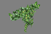 Ivy_Overhang, an Environmental 3D Model by 2dawngames (Thumbnail 2 of 2)