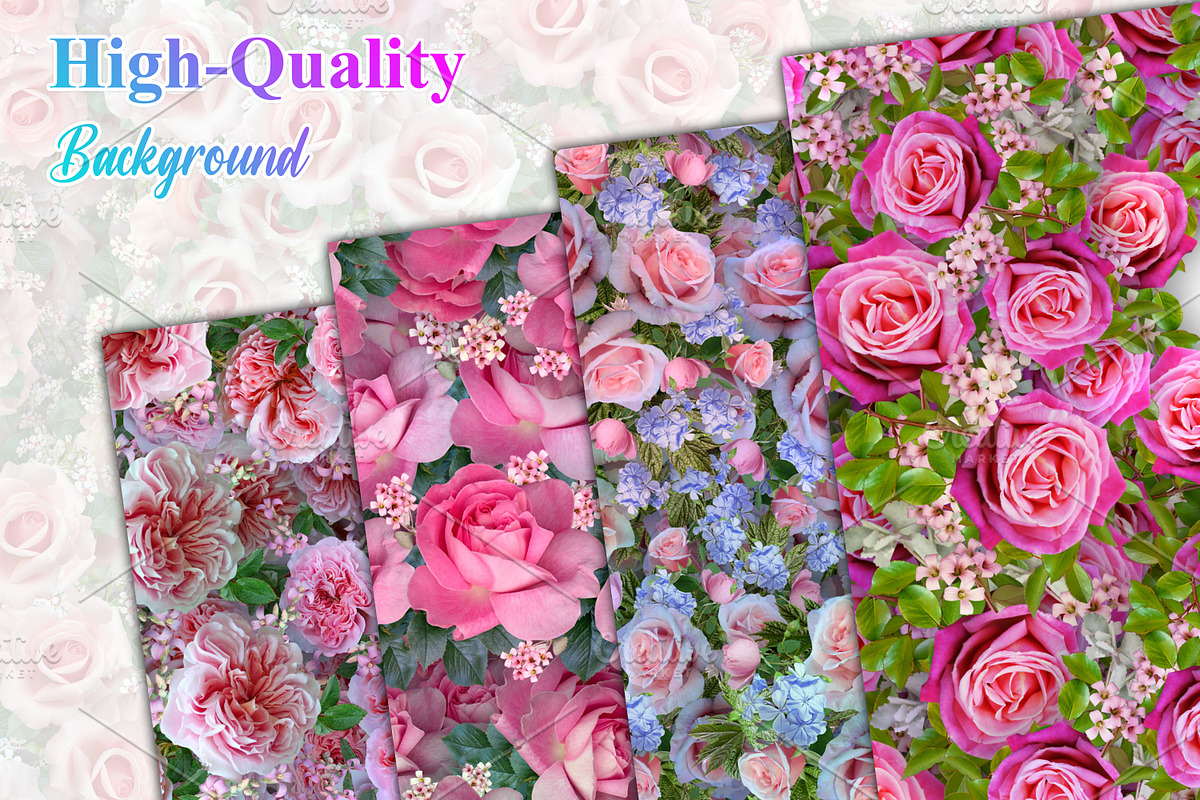 Pink Flower Background, a Background Photo by Digital Studio (Photo 3 of 18)