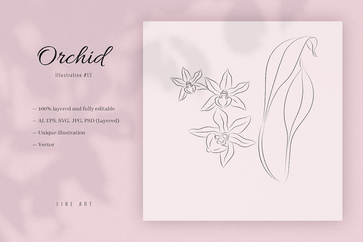 Orchid #13. Line Art Illustration, a Decorative Illustration by lapi-olesya (Photo 1 of 3)