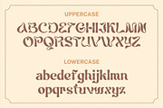 Laran - Display Typeface, a Sans Serif Font by Hakara Type (Thumbnail 8 of 10)