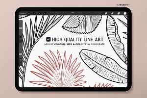 Palm Leaf Procreate Brush Stamps