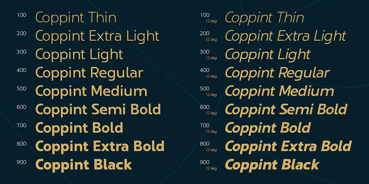 Coppint, a Sans Serif Font by Ridtype Foundry (Photo 4 of 12)