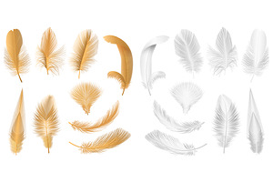 Realistic Feathers Collection