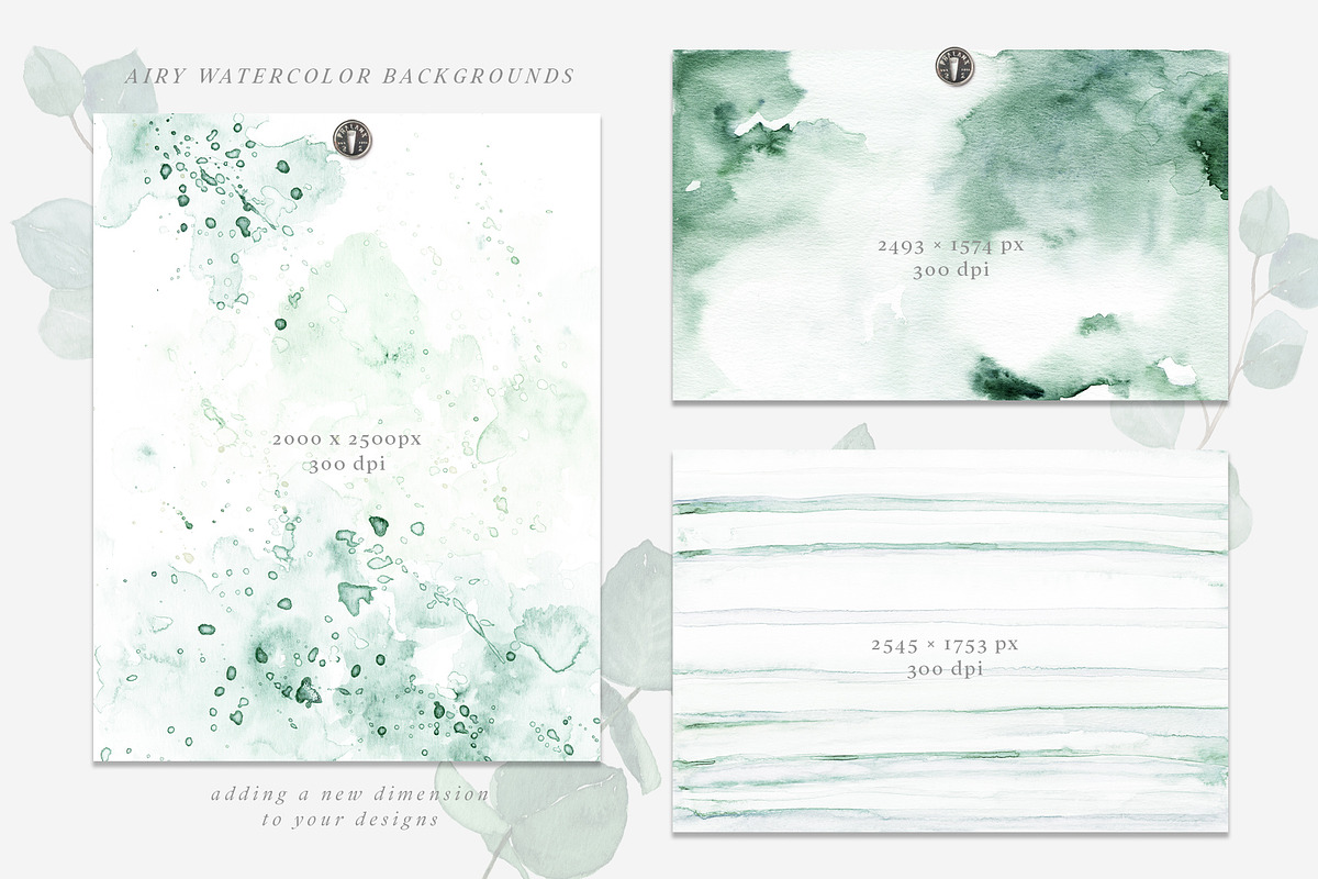 Scent of Eucalyptus - Graphic Set, an Illustration by studioequinox (Photo 18 of 21)