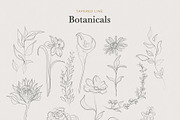 Minimalist Botanical Drawings, an Illustration by amber&ink (Thumbnail 2 of 5)