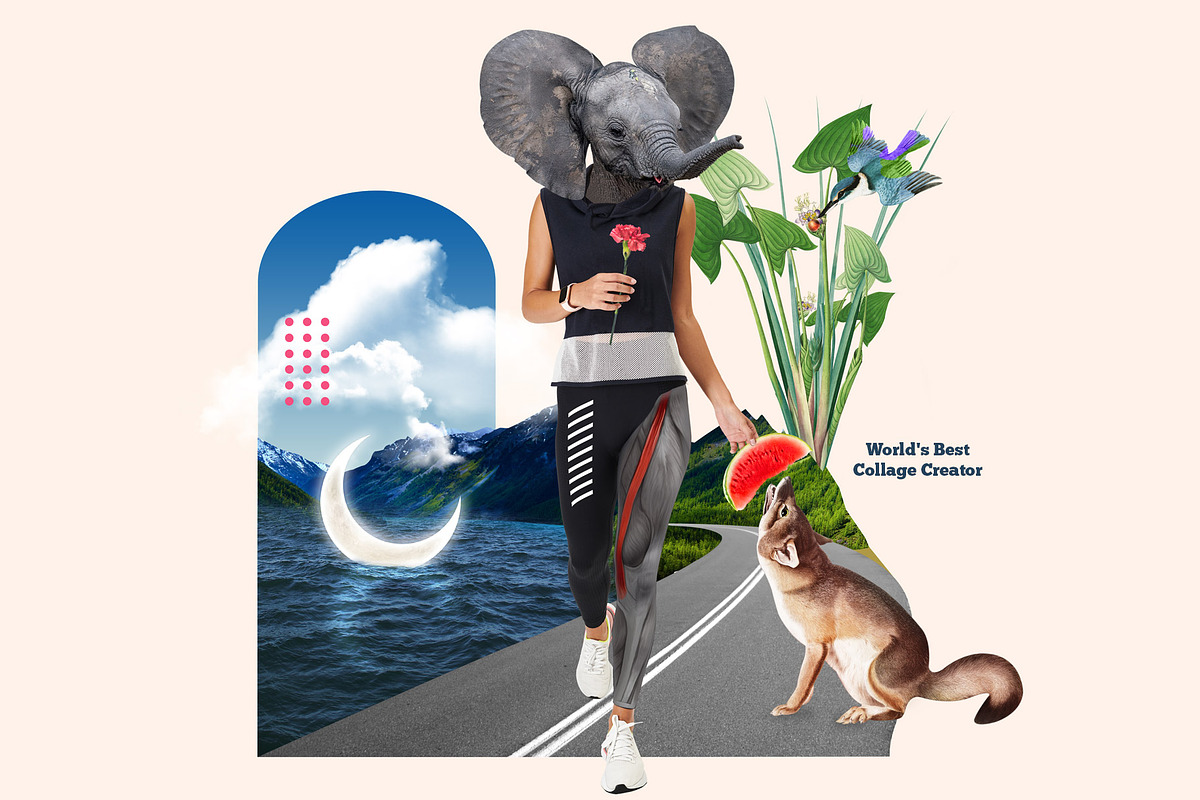 World's Best Collage Creator, an Animal Illustration by SNIPESCIENTIST (Photo 7 of 48)