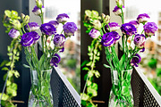 30 Flowers LUT Collection, a Preset Add-On by 3Motional (Thumbnail 8 of 10)