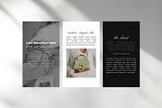 Instagram Templates for Brands Canva, a Social Media Template by Blush Created (Thumbnail 8 of 11)