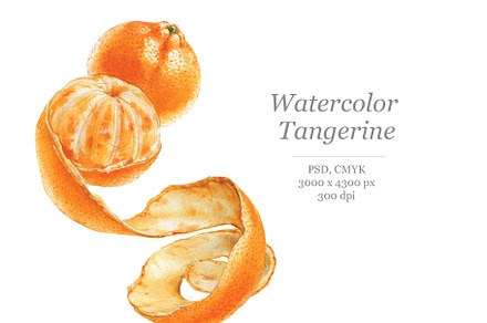 Watercolour Tangerine