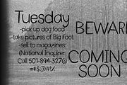 Annie Scratch Font, a Handwritten Font by Annabel Jones Art (Thumbnail 2 of 2)
