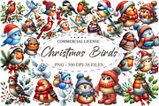 Whimsical Christmas Birds Clipart, an Illustration by designcity5 (Thumbnail 1 of 5)