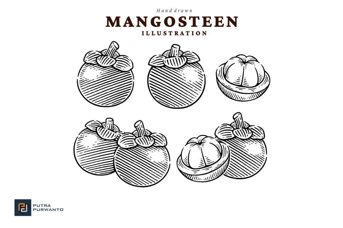 Hand Drawn Mangosteen Illustration, a Food Illustration by putra_purwanto (Photo 3 of 3)