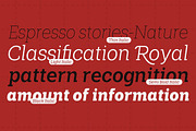 Shemekia, a Slab Serif Font by Areatype (Thumbnail 12 of 15)