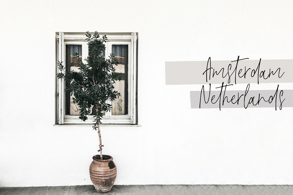 L'aster Font, a Script Font by Calamar Studio (Photo 11 of 14)