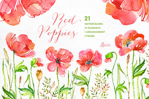 Red Poppies. Floral collection, an Illustration by OctopusArtis