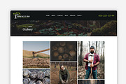Tree Removal Service WordPress Theme, a WordPress Template by Your Theme Shop (Thumbnail 5 of 9)