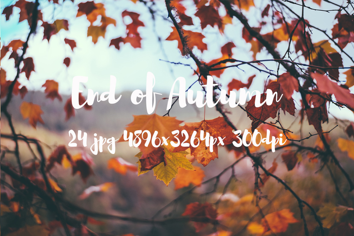 End of Autumn photo pack, a Templates & Theme by ApertureVintage (Photo 6 of 14)