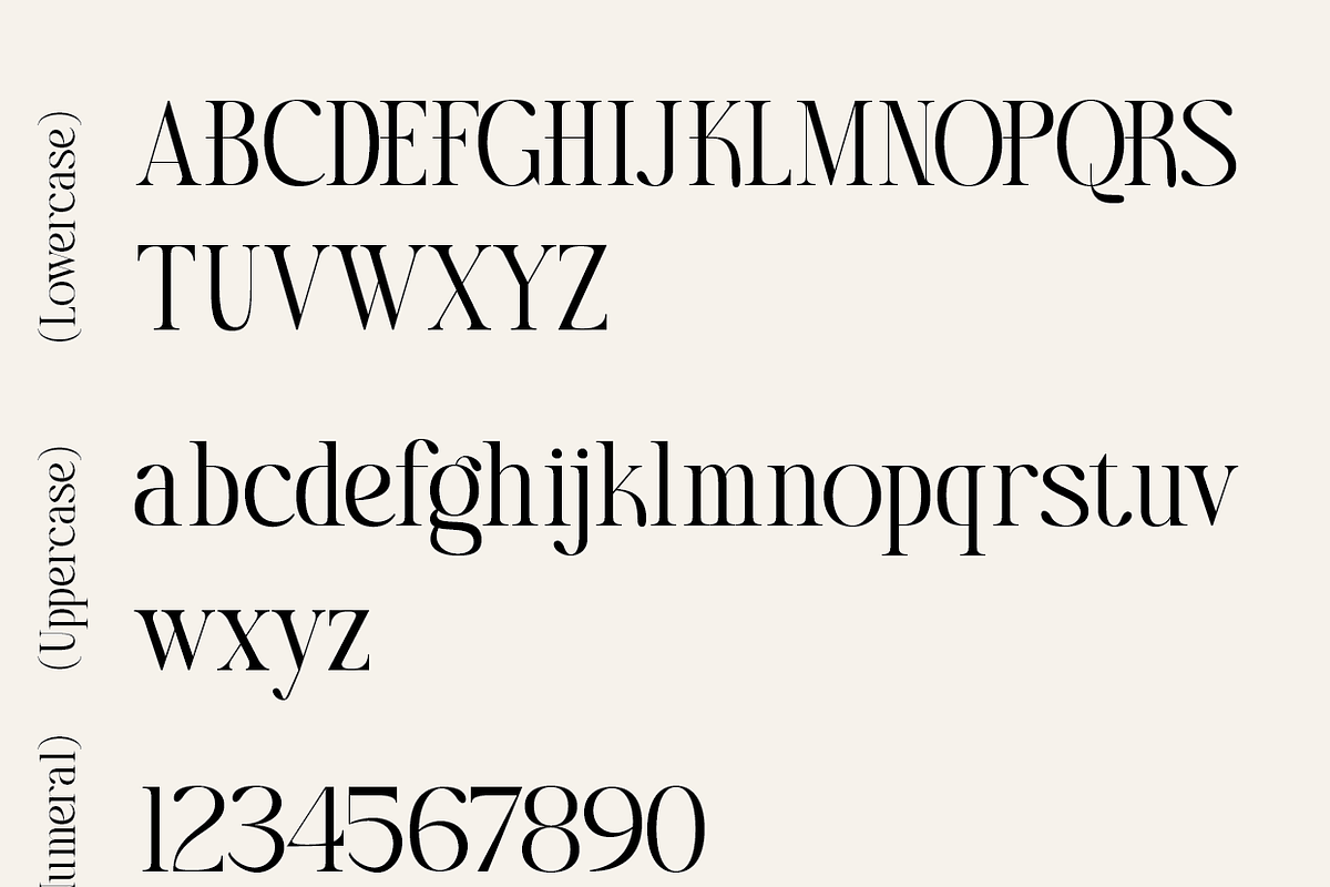 Zaloma, a Serif Font by Zaloma Studio (Photo 8 of 10)
