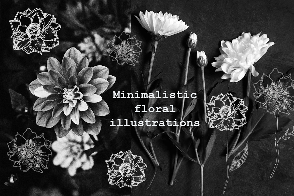 Minimalistic Floral Illustrations, a Decorative Illustration by Chimerique (Photo 4 of 9)