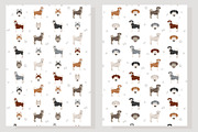 Siberpoo (Siberian Husky Poodle mix), an Animal Illustration by pet design shop (Thumbnail 6 of 6)