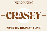 Crasey Modern Display Font, a Serif Font by Storytype Studio (Thumbnail 15 of 15)