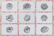 50 Peony Flower Vector Illustrations, an Illustration by Inkwell Supply Co (Thumbnail 6 of 20)