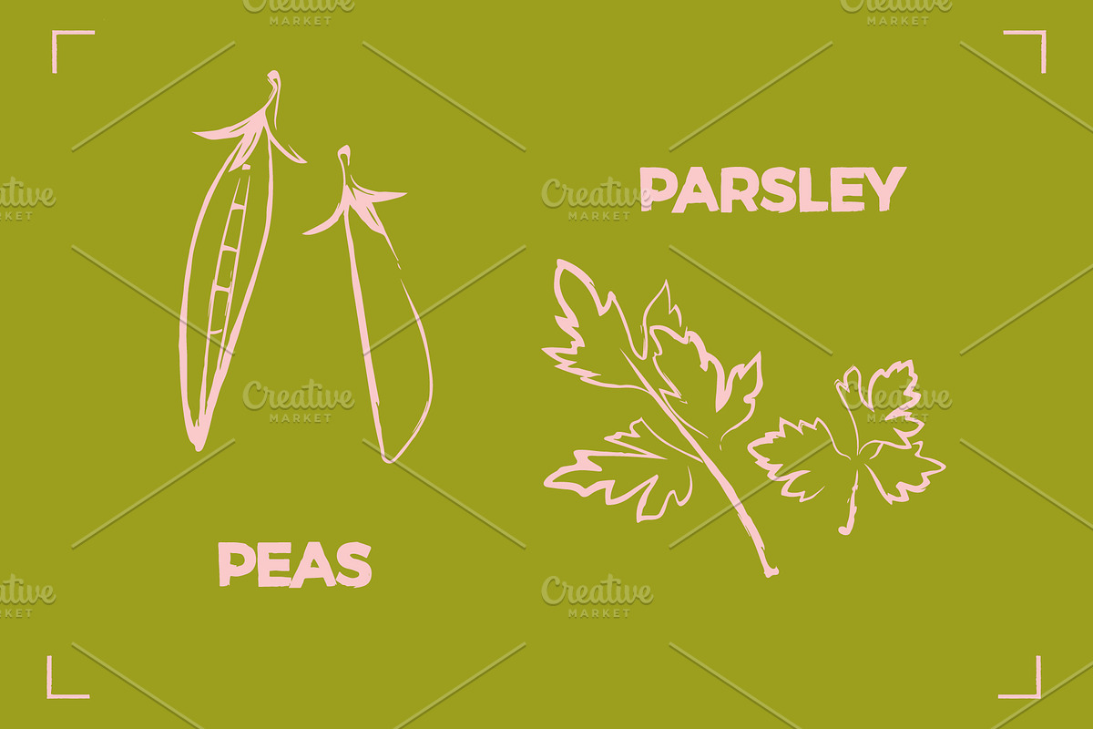 GREENS LINE ART SET (14 elements), a Food Illustration by Bonfloret Studio (Photo 7 of 8)