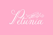 Petunia, a Script Font by Great Lakes Lettering (Thumbnail 1 of 5)