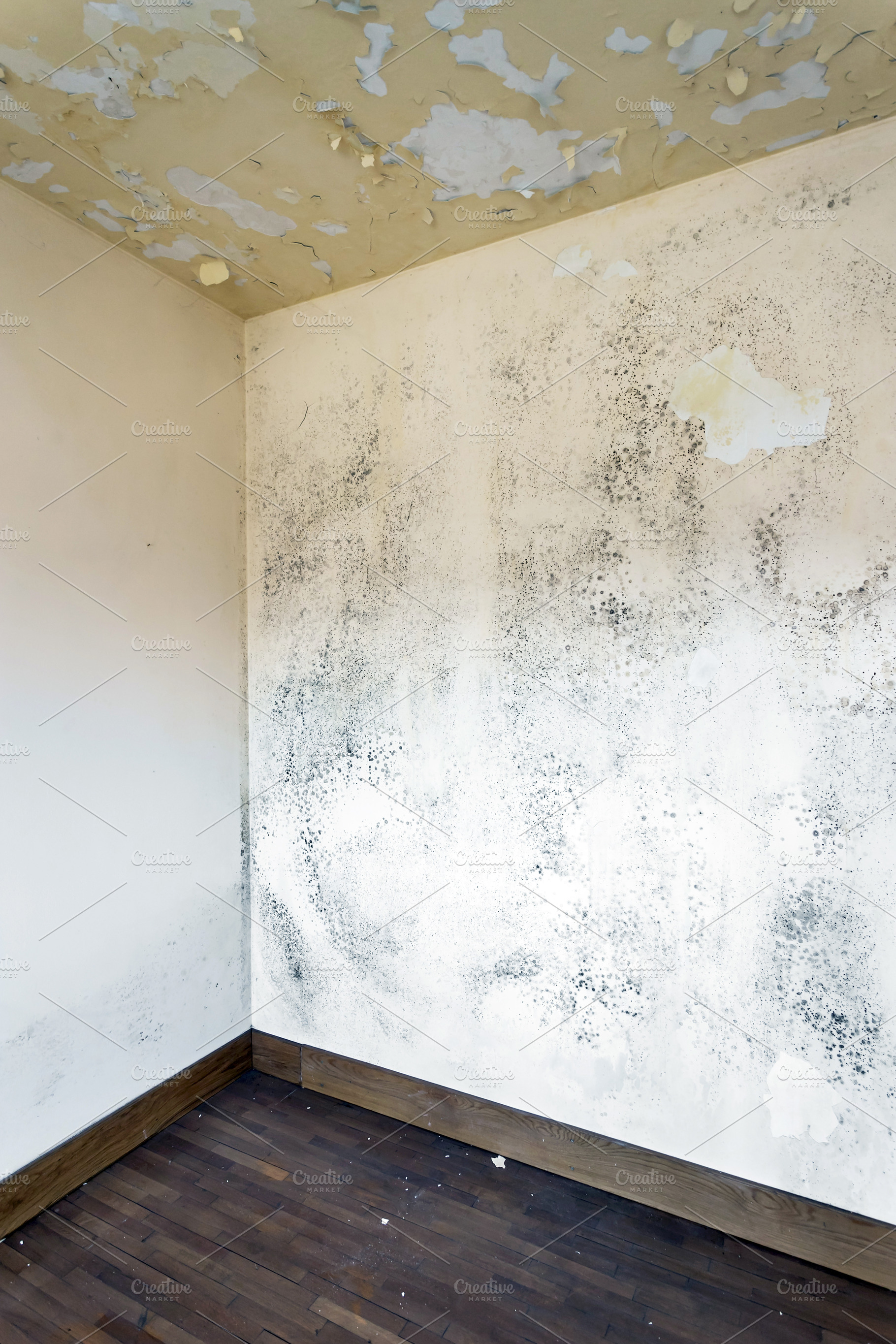 Moss and Mold spots, a Wallpaper Photo by KYNA STUDIO