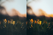 HDR Photoshop Actions, an Action Add-On by Bato (Thumbnail 12 of 16)