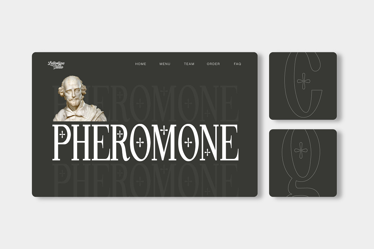 Pheromone Ultimate | Modern Classic, a Serif Font by Lettertype Studio (Photo 11 of 20)