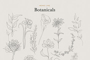 Minimalist Botanical Drawings, an Illustration by amber&ink (Thumbnail 4 of 5)