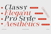 Milghera Serif, a Serif Font by IM Studio (Thumbnail 9 of 12)