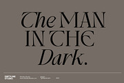 Wagon Display Serif+Italic, a Serif Font by Dirtyline Studio (Thumbnail 3 of 20)