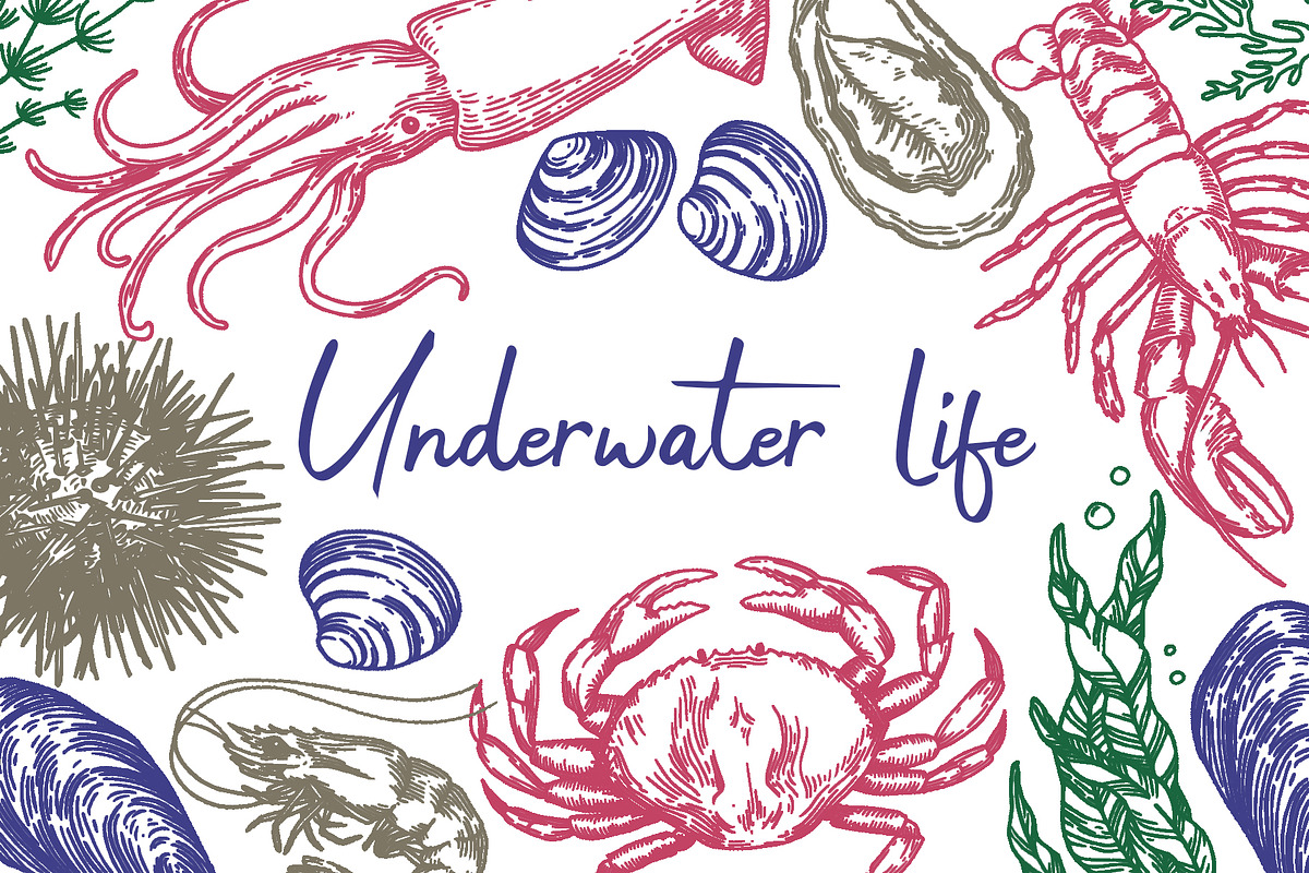 Underwater life. Hand drawn sketch, a Food Illustration by made by Tanya (Photo 1 of 4)