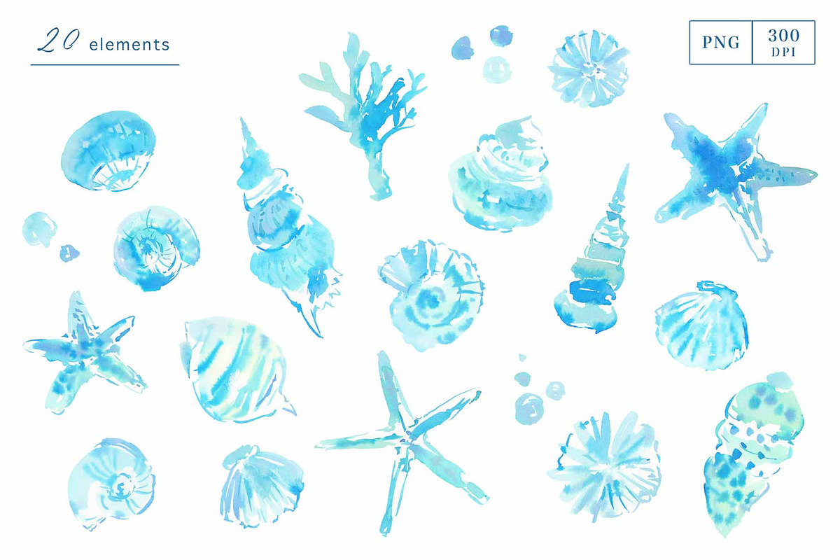 Blue Watercolor Seashell Collection, an Object Graphic by Sawango Designs (Photo 2 of 5)