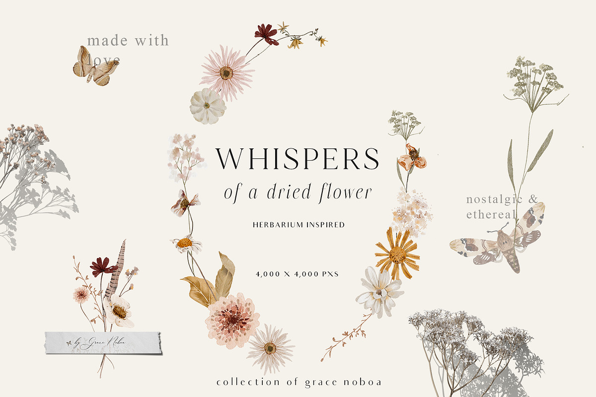 Wildflowers watercolor floral botany, a Decorative Illustration by Grace Noboa Illustrations (Photo 11 of 17)
